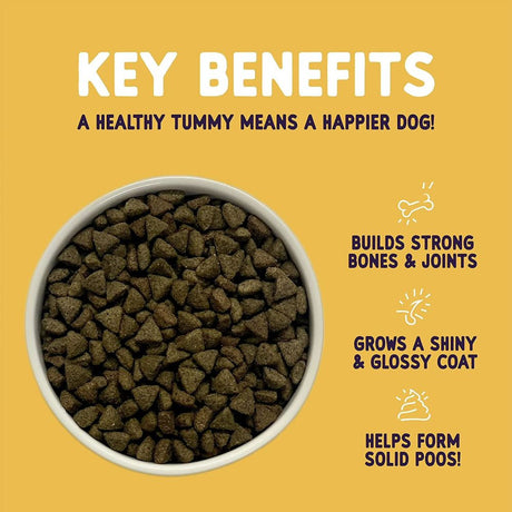 Burgess 12.5kg Sensitive Complete Turkey & Rice Adult Dog Food
