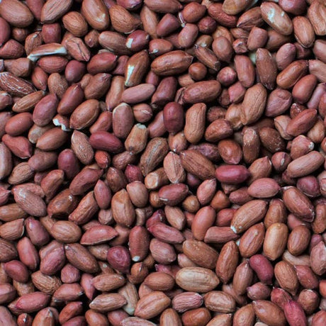 Henry Bell 12.55kg Wild Bird Peanuts