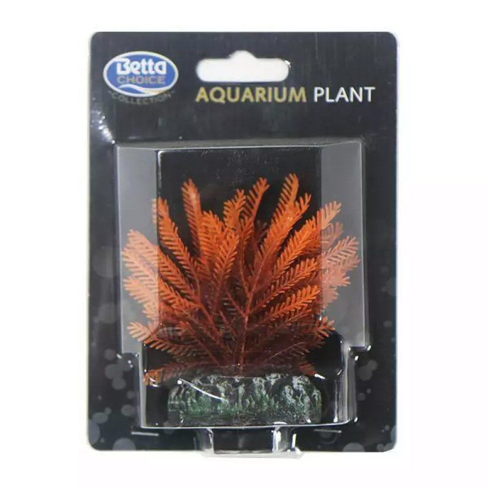 Betta Choice 8cm Orange Fern Plant