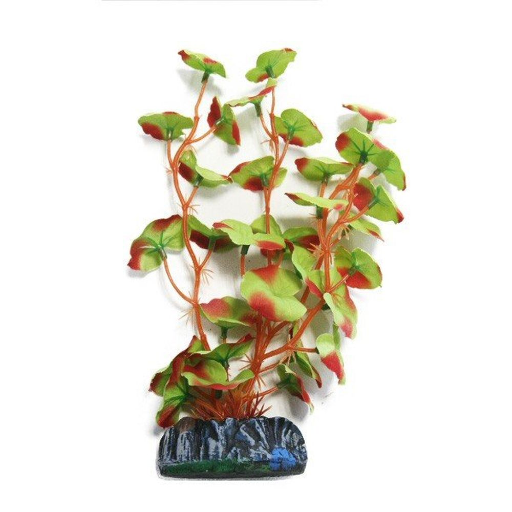 Betta Choice 20cm Red-Edged Silk Hydrocotyle Plant - PP486