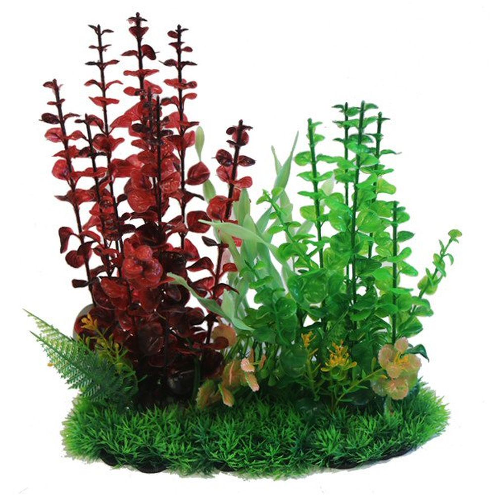 Betta 13" Red & Green Combi Plant