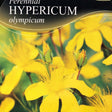 Hypericum olympicum 'Grandiflorum' Plant 1Ltr Pot