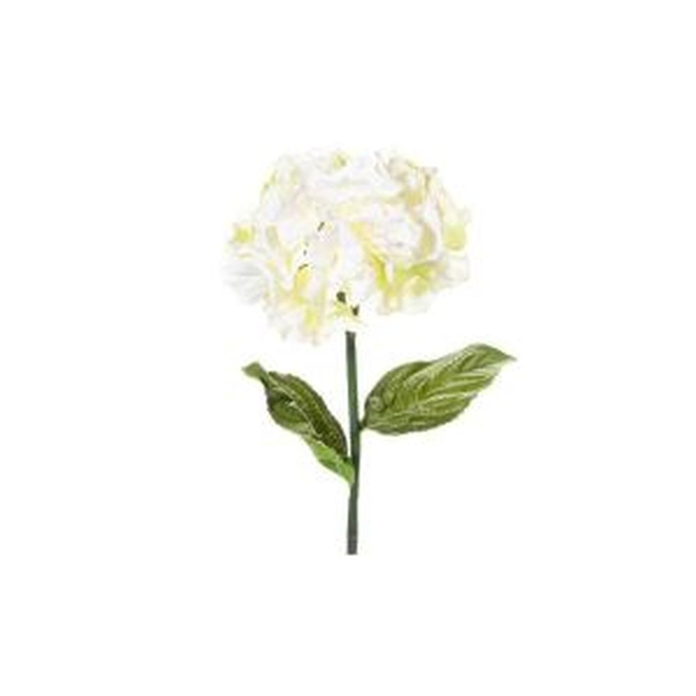 CB Imports 48cm Cream Vintage Hydrangea