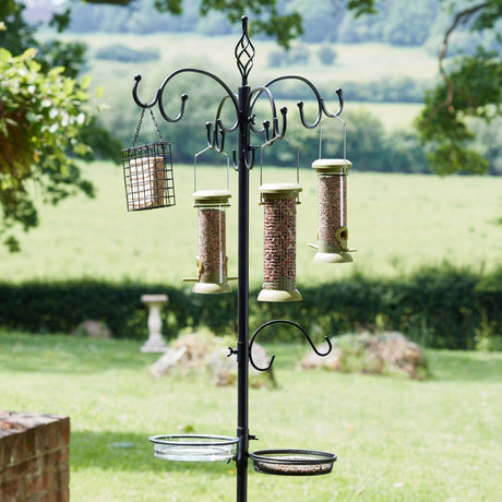 ChapelWood 204cm Black Complete Bird Dining Station