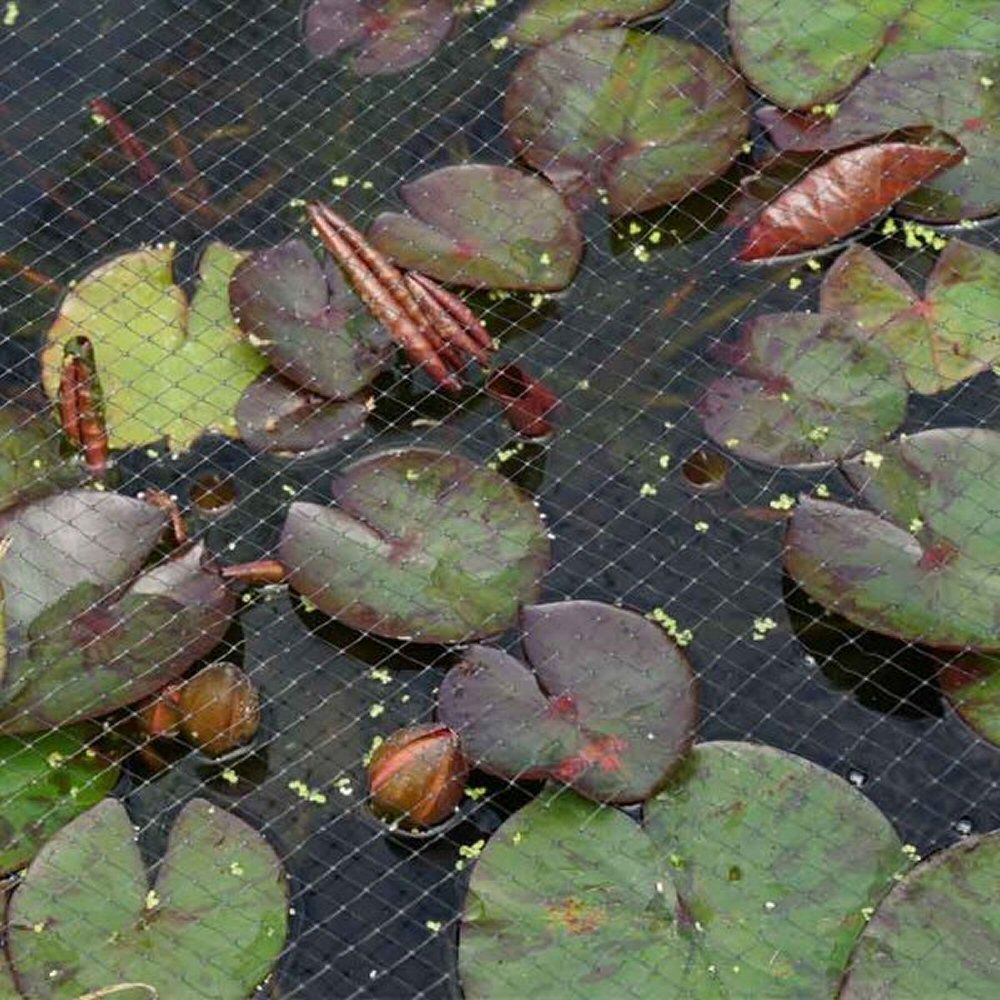 Smart Garden 12mm Black Pond & Fruit Cage Netting (2m x 10m)