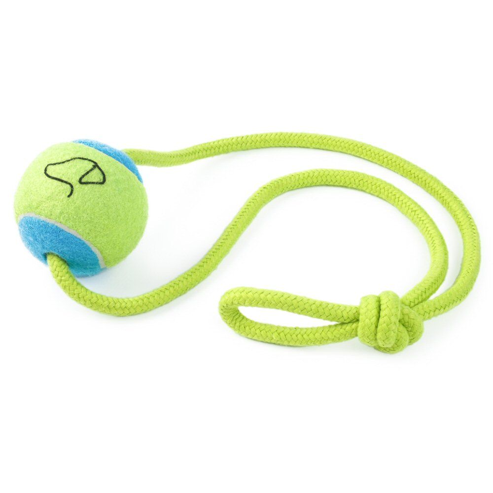 Zoon 6.5cm Pooch Tennis Ball on a Rope