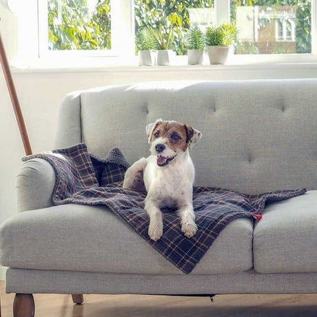 Zoon Plaid Comforter