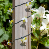 Smart Solar 50 Buzzy Bee String Lights