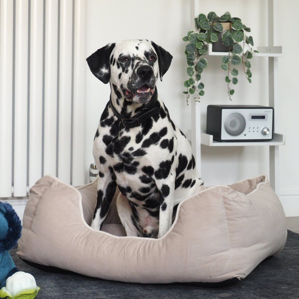 Zoon 95cm X-Large Stone TuffEarth Recycled Chenille Square Pet Bed