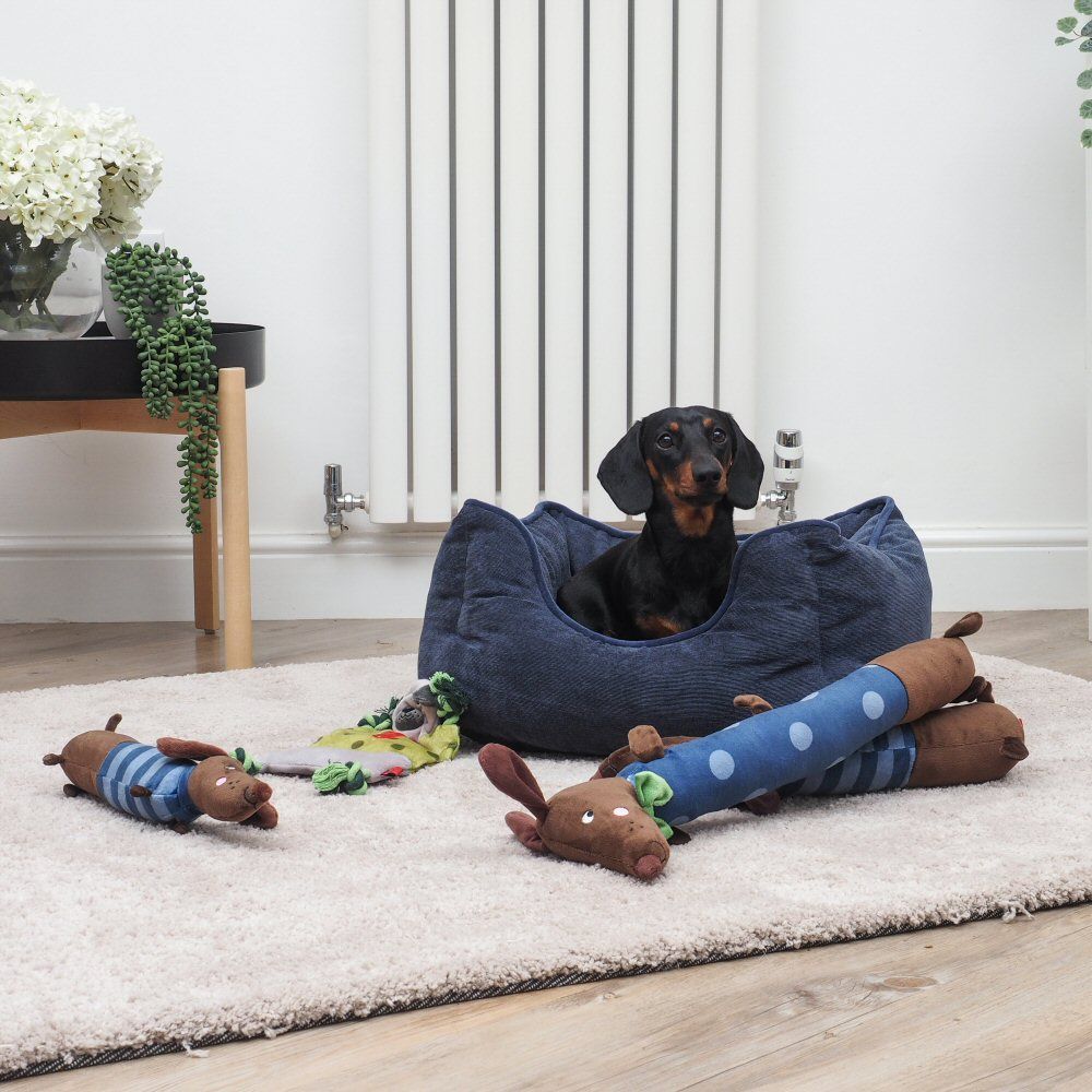 Zoon 34cm Frankie Sausage PlayPal Squeaky Dog Toy