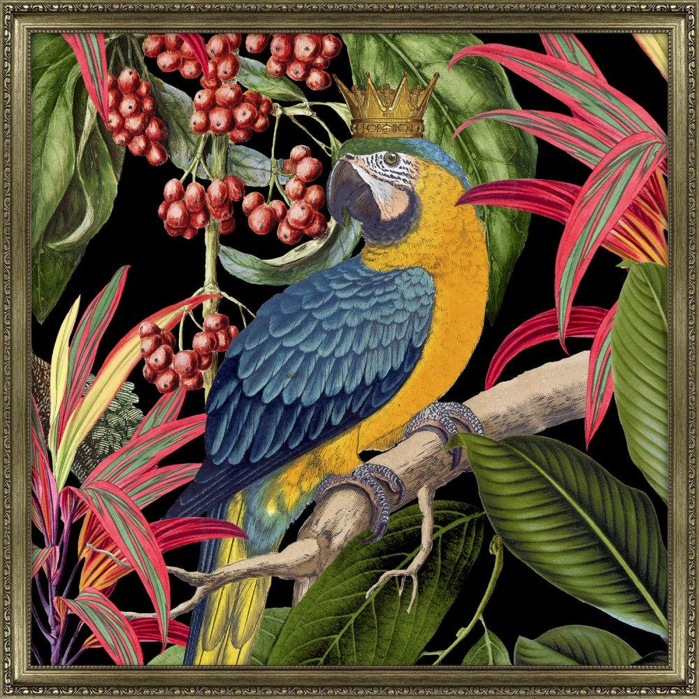 Artko 75cm 'Parrot King I' Framed Print by Andrea House