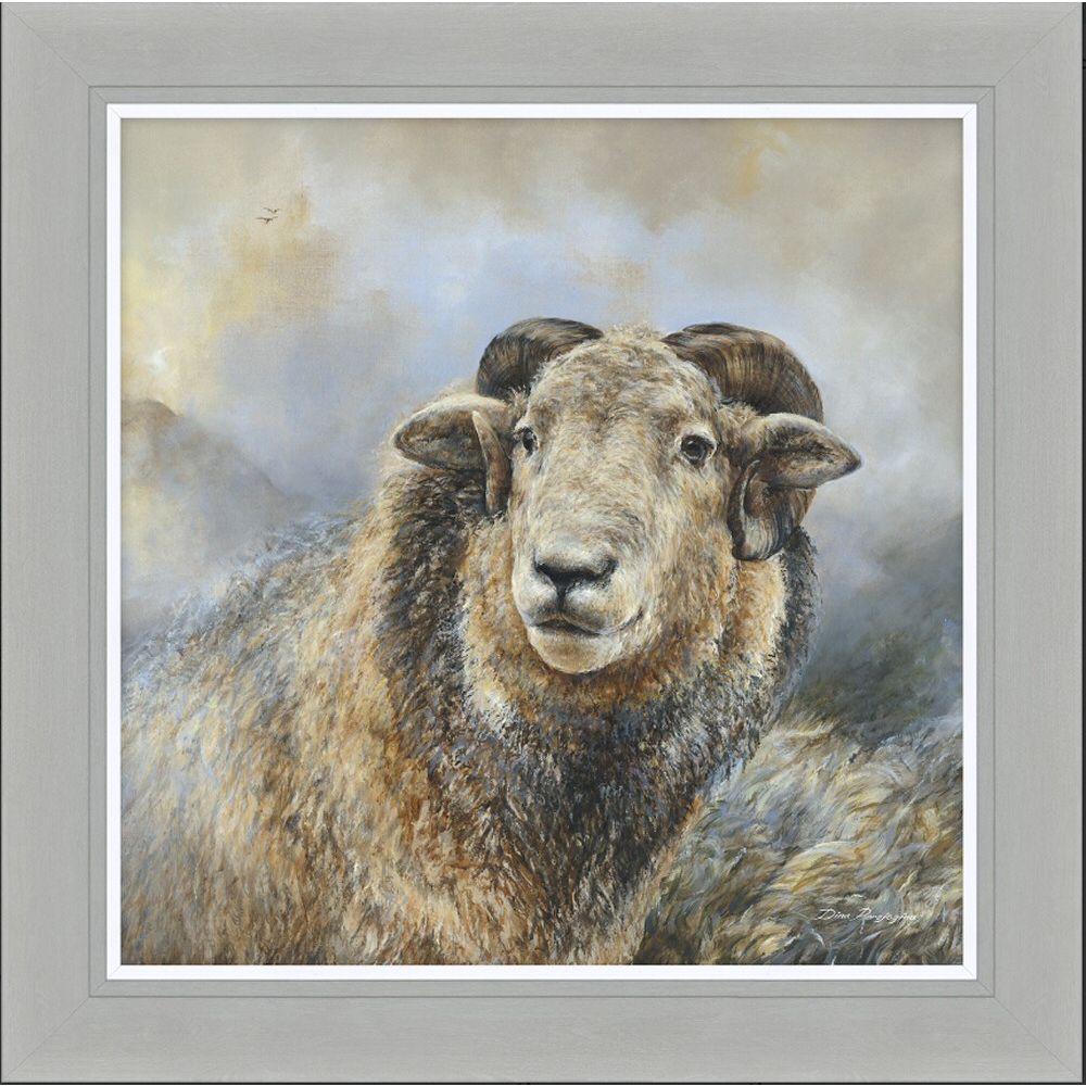 Artko 71cm Herdwick Sheep Framed Print By Dina Perejogina