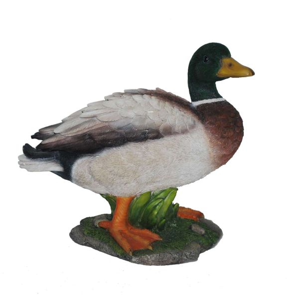 Vivid Arts 32cm Mallard Duck Resin Ornament - XRL-MLLD-A