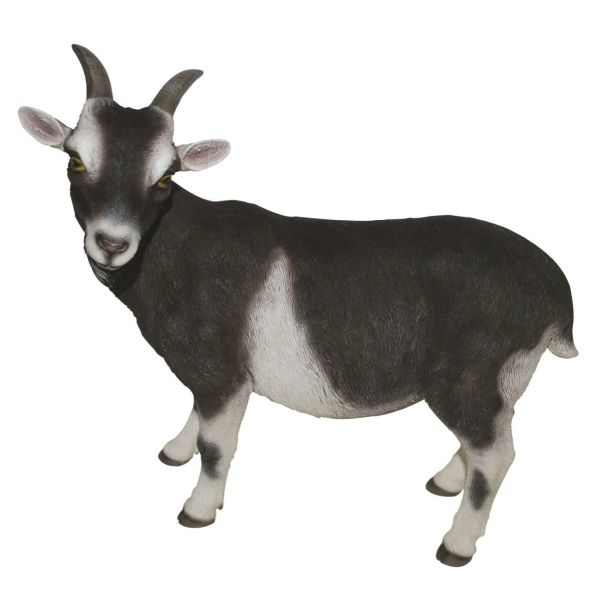 Vivid Arts 29cm Standing Goat Resin Ornament - XRL-GOAT-D