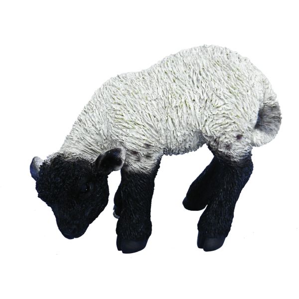 Vivid Arts 31cm Black / White Standing Lamb Resin Ornament - XRL-BLLB-D