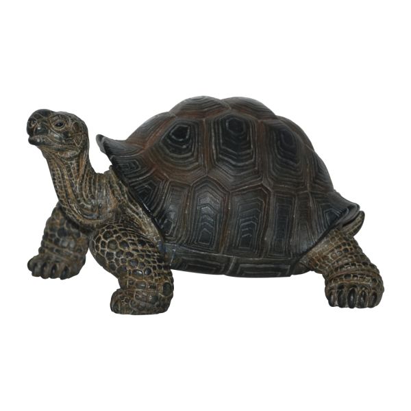 Vivid Arts 17cm Baby Tortoise Pet Pals Resin Ornament - PP-BT02-F