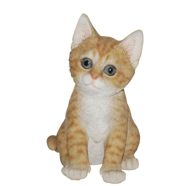 Vivid Arts 17cm Pet Pals Kitten Resin Ornament (Colour Selected at Random)