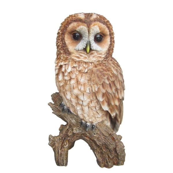 Vivid Arts 31.5cm Tawny Owl Resin Ornament - XRL-TWNY-B
