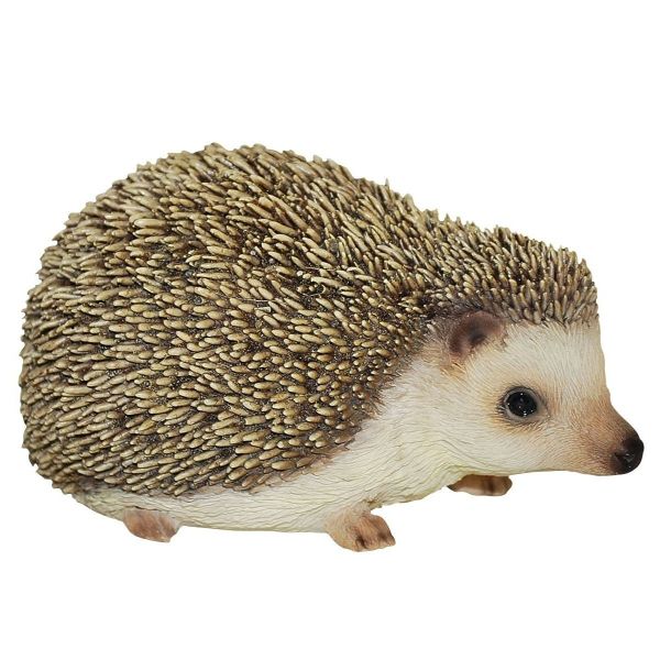 Vivid Arts 13cm Pet Pals Pygmy Hedgehog Resin Ornament - PP-PHED-F