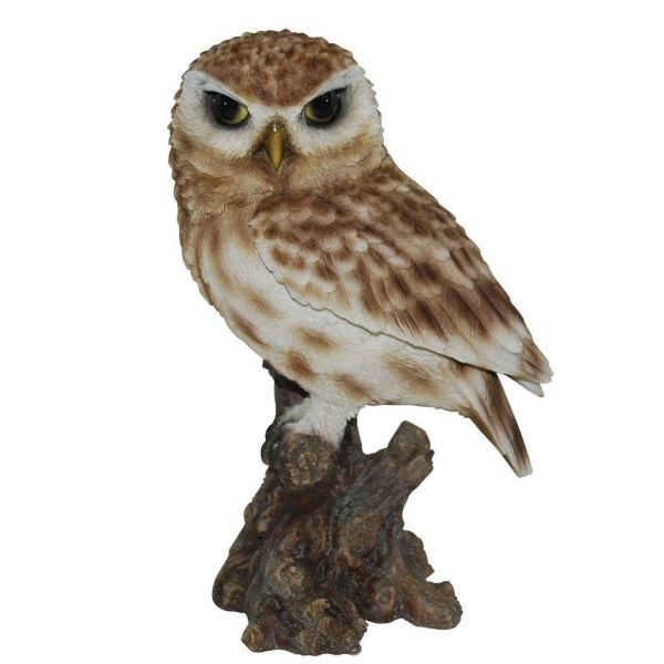 Vivid Arts 22cm Little Owl Resin Ornament - XRL-LTWL-D