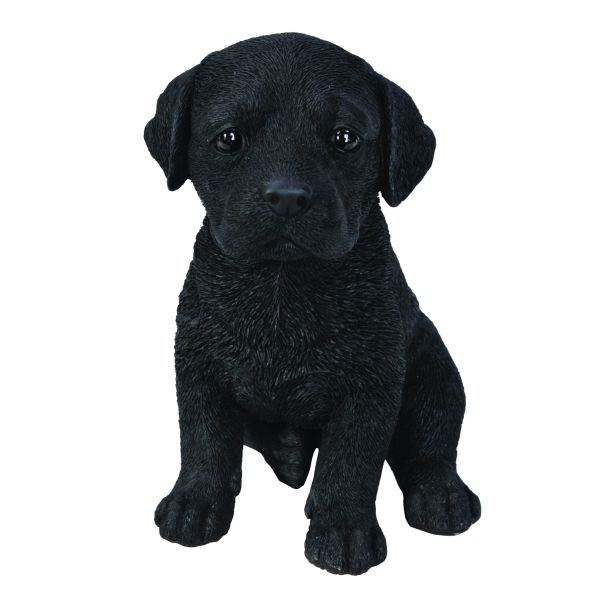 Vivid Arts 17cm Black Labrador Puppy Pet Pals Resin Ornament - PP-BLAB