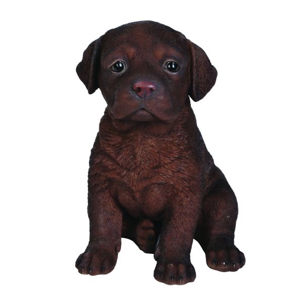 Vivid Arts 17cm Chocolate Labrador Puppy Pet Pals Resin Ornament