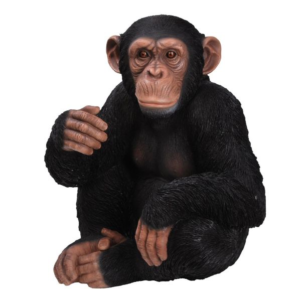 Vivid Arts 53cm Sitting Chimpanzee Resin Ornament - XRL-CHM3 -B