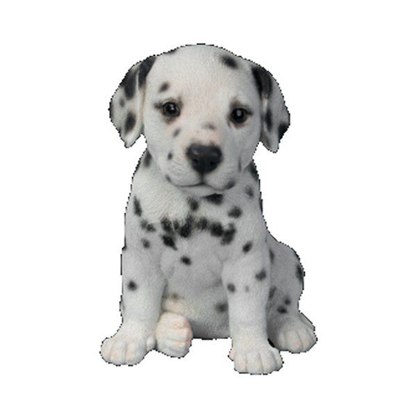 Vivid Arts 17cm Dalmatian Puppy Pet Pals Resin Ornament - PP-BALM-F