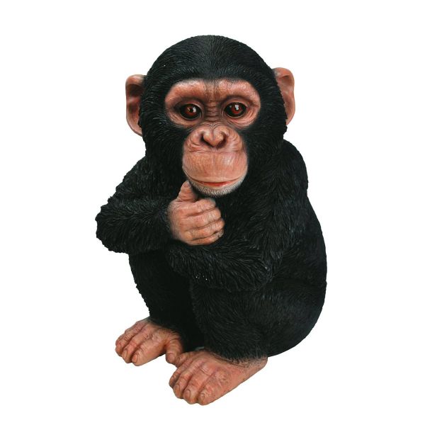 Vivid Arts 18cm Baby Chimpanzee Resin Ornament - XRL-CHM2-F