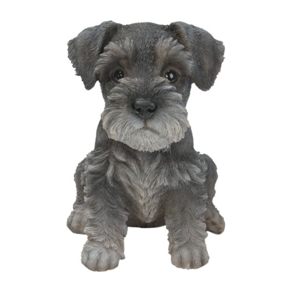 Vivid Arts 17cm Mini Schnauzer Puppy Pet Pals Resin Ornament - PP-MINS