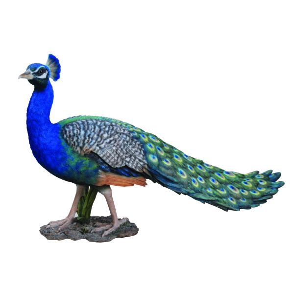 Vivid Arts 52cm Peacock Resin Ornament - XRL-PCOK-B