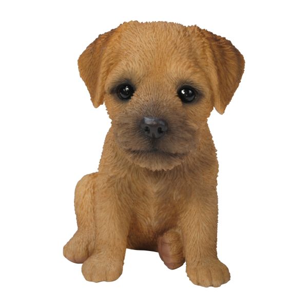 Vivid Arts 17cm Border Terrier Puppy Pet Pals Resin Ornament - PP-BORD