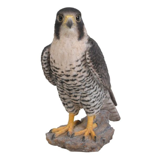 Vivid Arts 25cm Peregrine Falcon Resin Ornament - XRL-PFAL-B