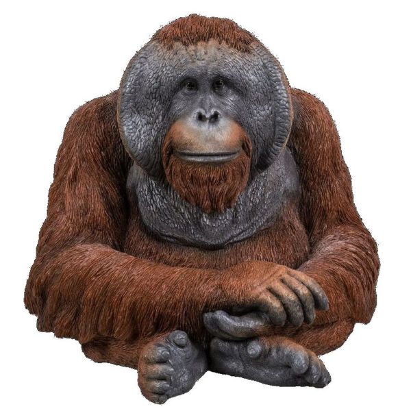 Vivid Arts 25cm Orangutan Resin Ornament - XRL-ORAN-D