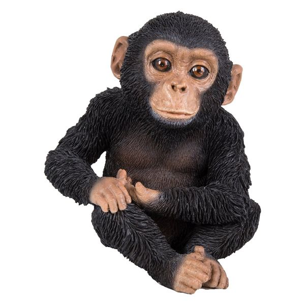 Vivid Arts 14cm Pet Pals Sitting Baby Chimp Resin Ornament - PZ-CHM3-F