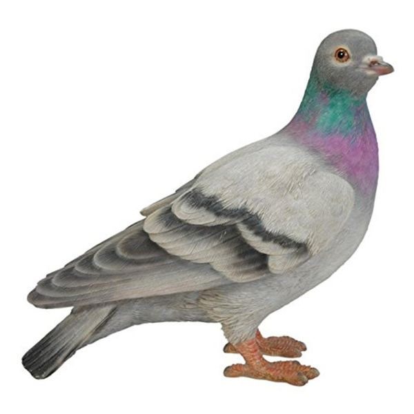 Vivid Arts 20cm Pigeon Resin Ornament -  XRL-PGON-D