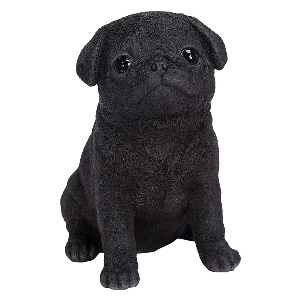 Vivid Arts 16cm Black Puppy Pug Resin Ornament - PP-BPUG-F