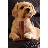 Bamboodles Small T-Bone Bamboo & Nylon Chicken Flavour Dog Chew