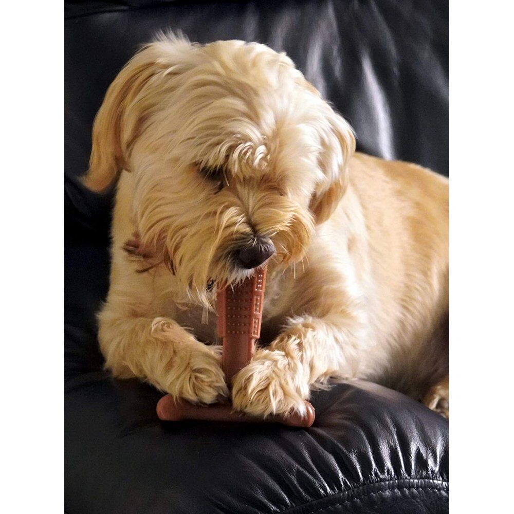 Bamboodles Small T-Bone Bamboo & Nylon Peanut Butter Flavour Dog Chew