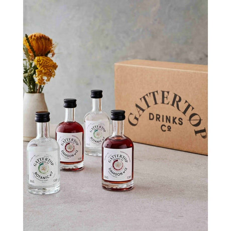 Gattertop Botanic 5cl No12 Damson Vodka