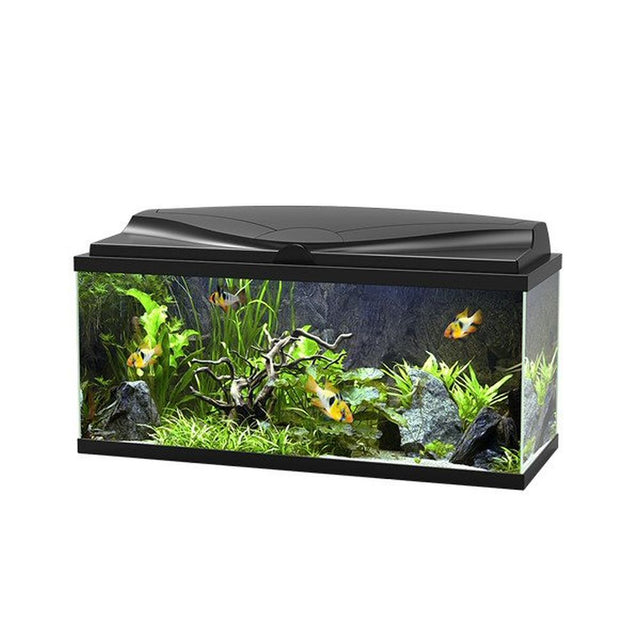 Ciano 80 LED Black Aquarium