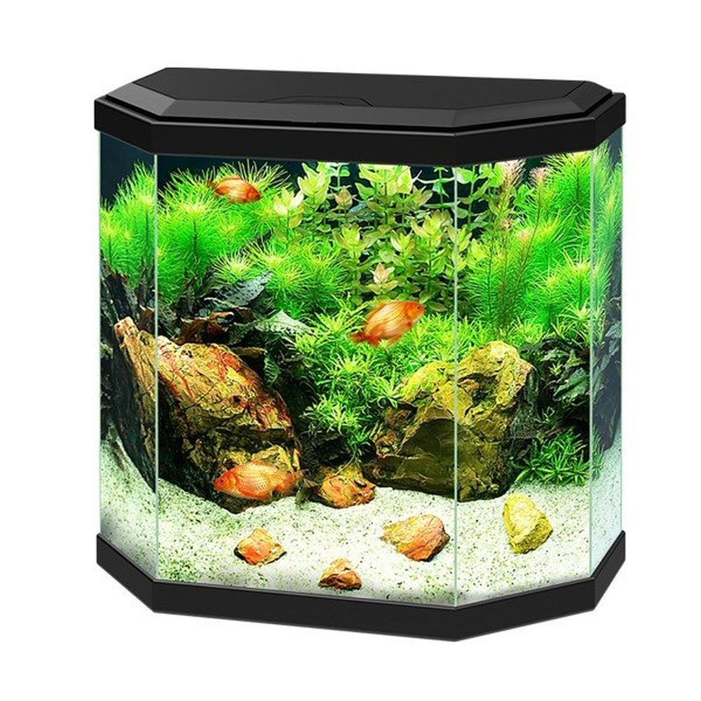 Ciano Aqua 30 Aquarium with LED Light