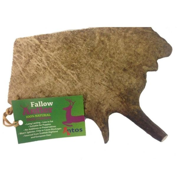 Antos Medium Fallow Antler