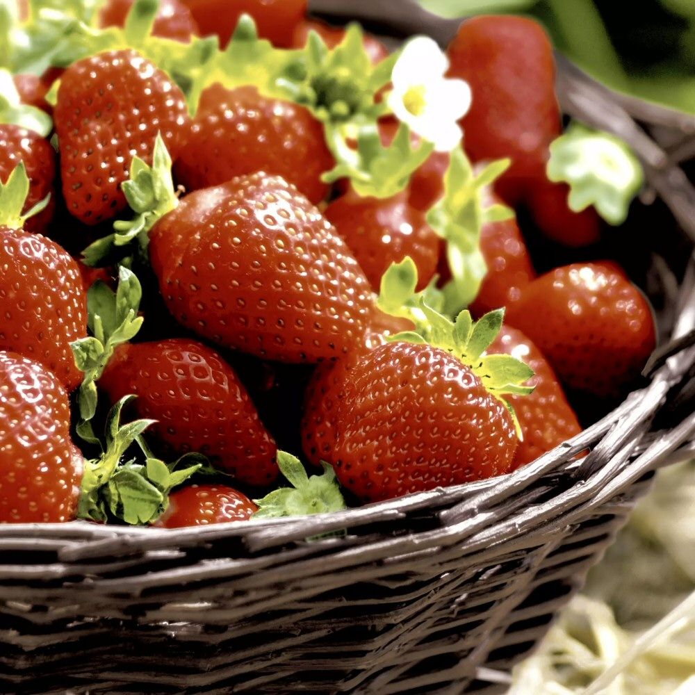 N.J Products 33cm Stawberries Napkin (Pack of 20)