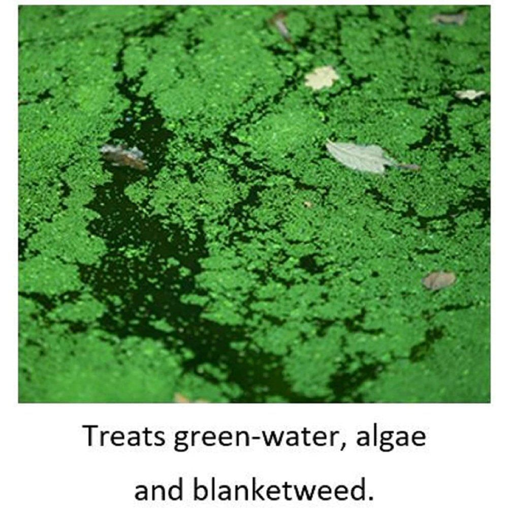 Blagdon 250ml Wildlife Barley Straw Bugs