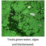 Blagdon 250ml Wildlife Barley Straw Bugs