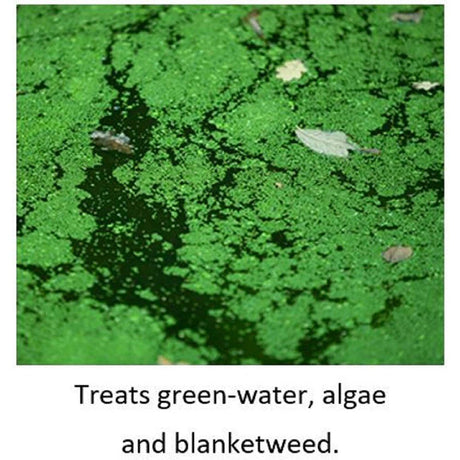 Blagdon 250ml Wildlife Barley Straw Bugs