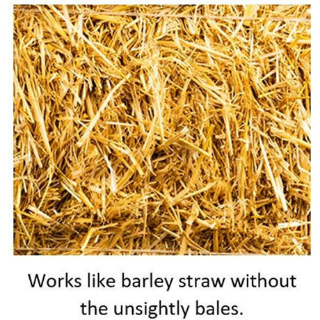 Blagdon 250ml Wildlife Barley Straw Bugs
