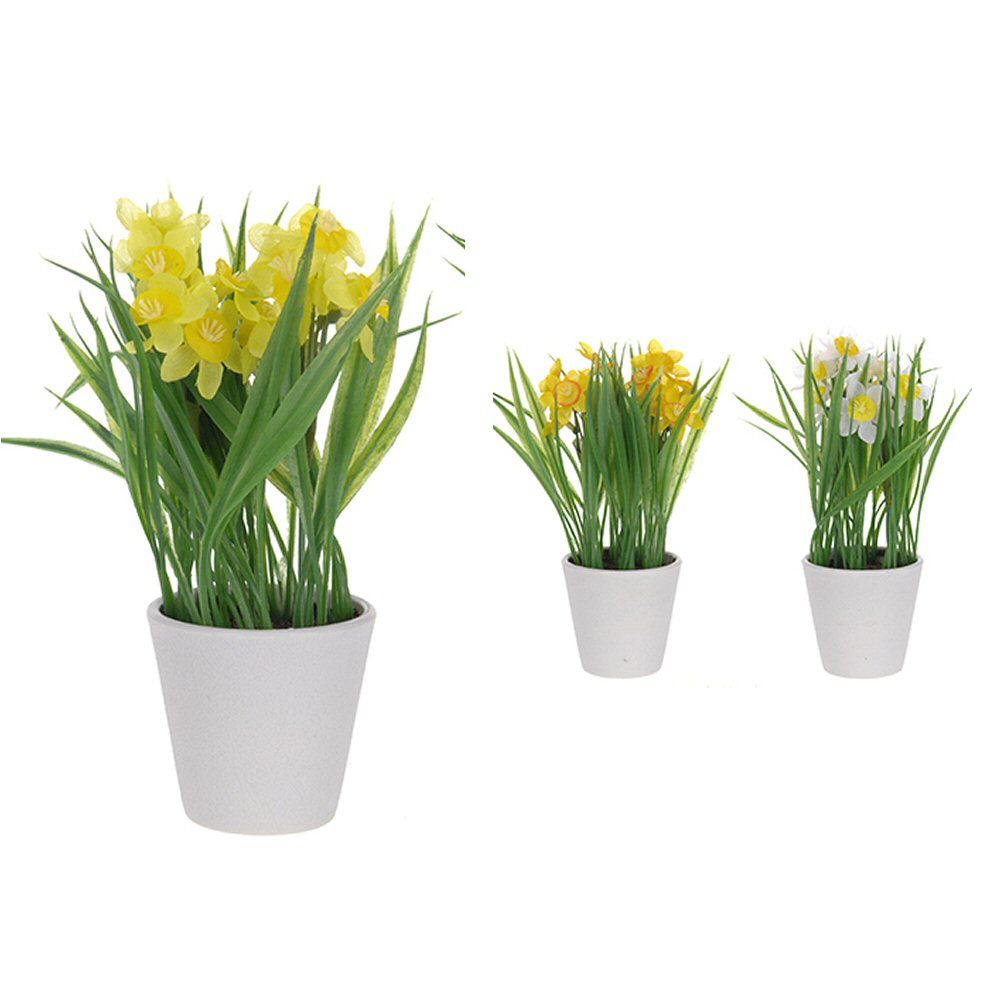 Koopman 22cm Artificial Narcissus in White Pot (Choice of 3)