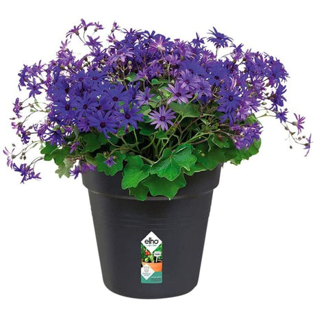 Elho 27cm Living Black Green Basics Growpot